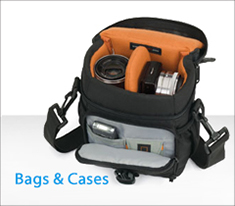 cat_bagscases