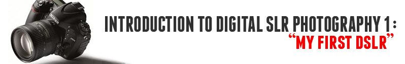 ItDSLRP.jpg