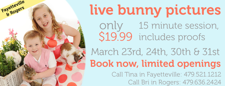 livebunny.jpg livebunny.jpg
