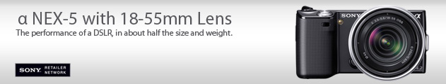 The performance of a DSLR, in about half the size and weight. 