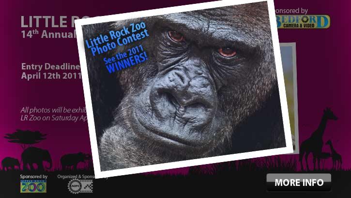 zoo-contest-w.jpg